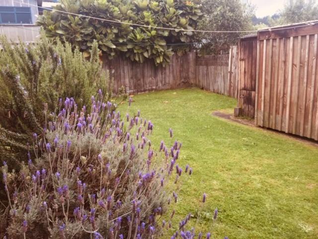 Mollies Place - Waihi Beach Holiday Unit ภายนอก รูปภาพ
